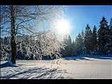 Daylight like in a fairytale - Kiruna Winter city