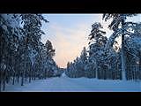 Meet the wilderness in winter time - Northern Lapland