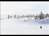 Experiencing the winter - Kiruna Winter city