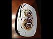 "Jerk Shrimp Tacos"-Sauteed jerk seasoned shrimp. Served in a corn tortilla. Topped with r(..)