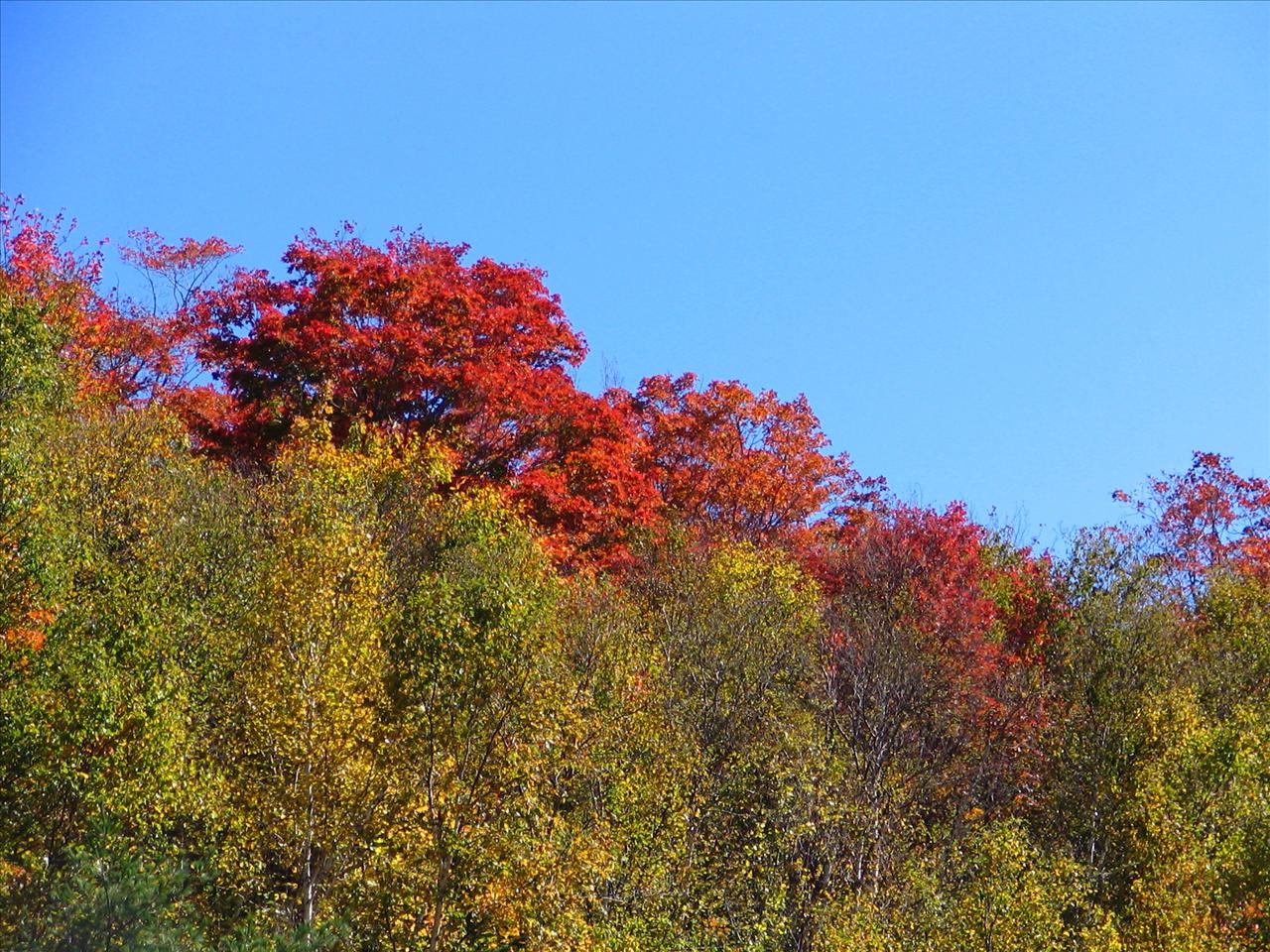 Camera: Canon EOS60D, RAW Format/F 11 (Shutter Priority TV Mode)/ 1/500 sec/ISO 200/AWB/Image Stabil(..)