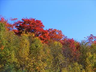 Camera: Canon EOS60D, RAW Format/F 11 (Shutter Priority TV Mode)/ 1/500 sec/ISO 200/AWB/Image Stabil(..)